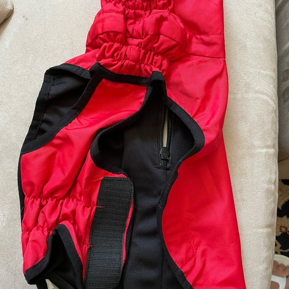 Doggie clothes - Picture 12 of 12